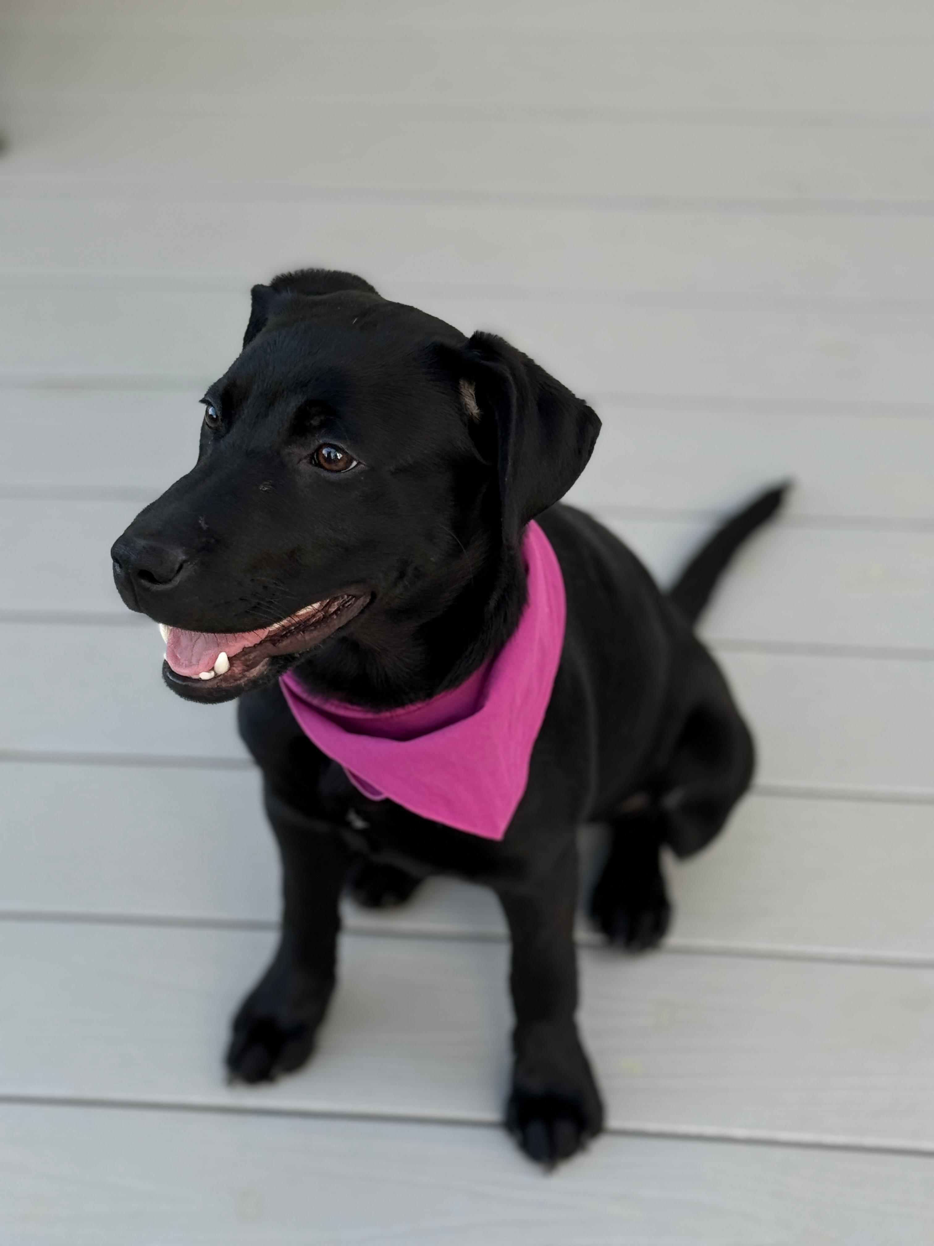 Meet Kira