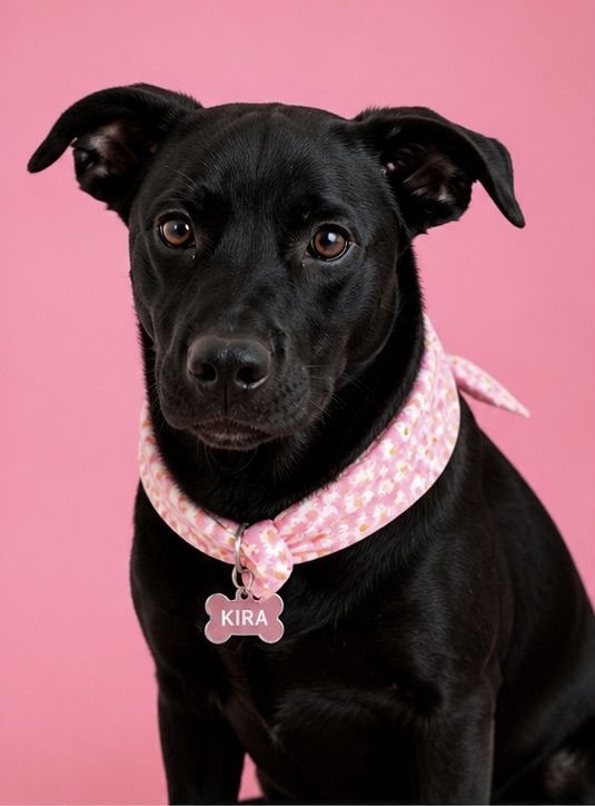 Kira the Rescue Girl